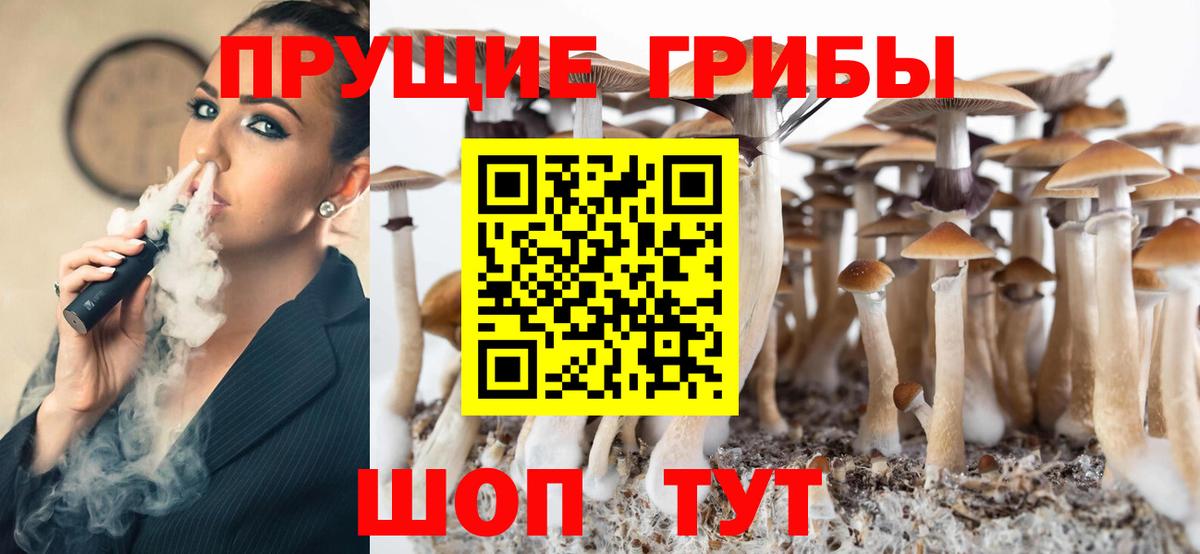 Торжок  Галлюциногенные грибы ЛСД  Псилоцибиновые грибы ЛСД  Вход с VPN 