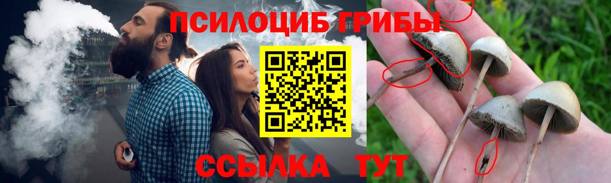 Галлюциногенные грибы прущие грибы Торжок